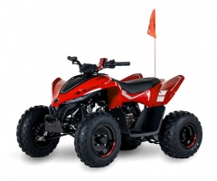 Детский квадроцикл CFMOTO CFORCE 110